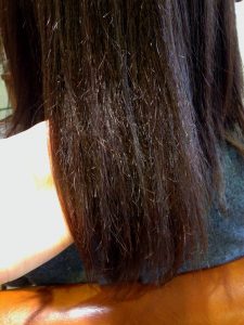 縮毛矯正の失敗 ダメージ毛の修正は可能か 神戸三宮の美容室プライベートヘアサロンsur