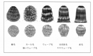 あなたはどのタイプ クセ毛の種類とその対策 神戸三宮の美容室プライベートヘアサロンsur